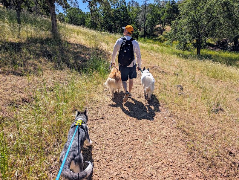 Family Hike Near Our Home