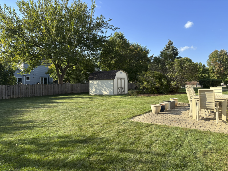 Our Backyard