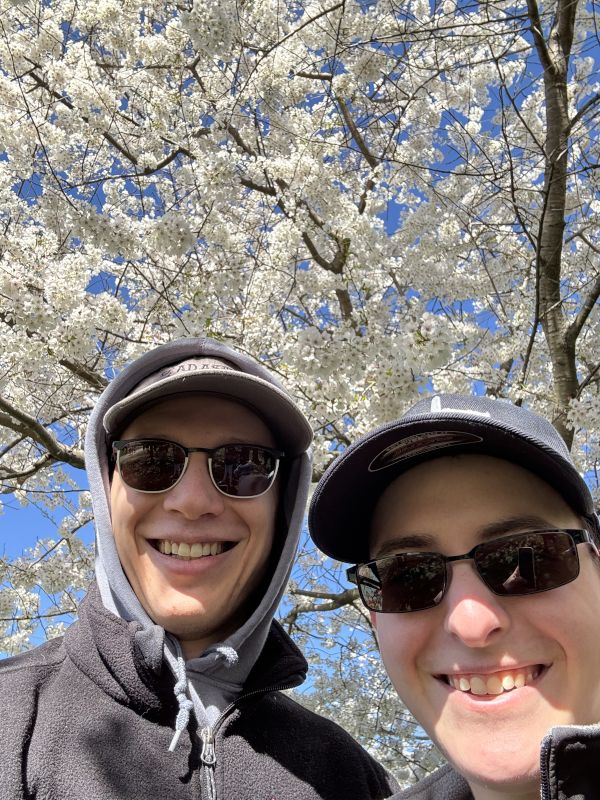 Cherry Blossom Season