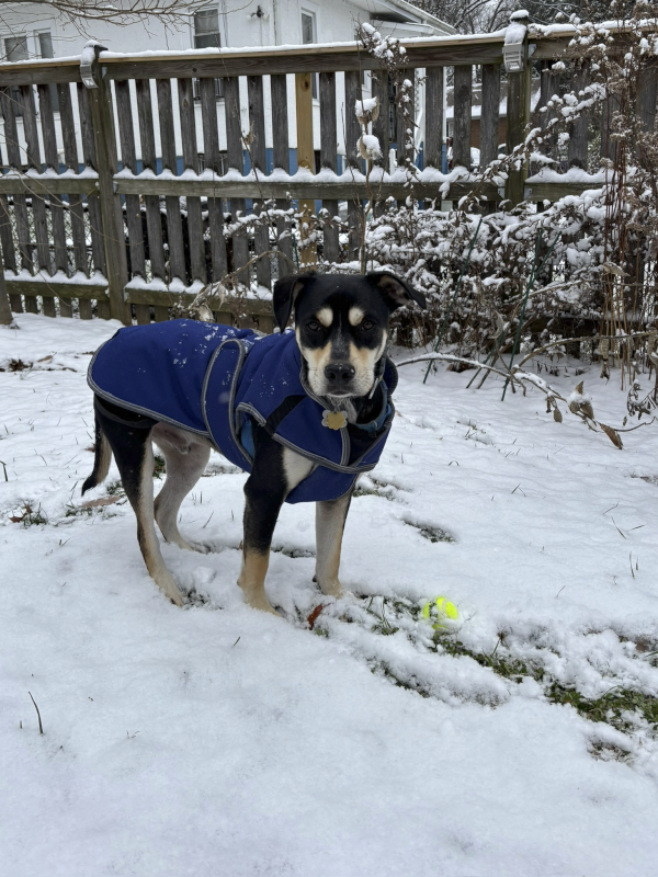 Kenny's First Snow