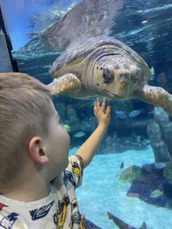Visiting the Jenks Aquarium
